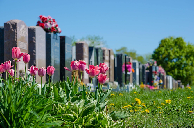Monuments funéraires avec tulipes