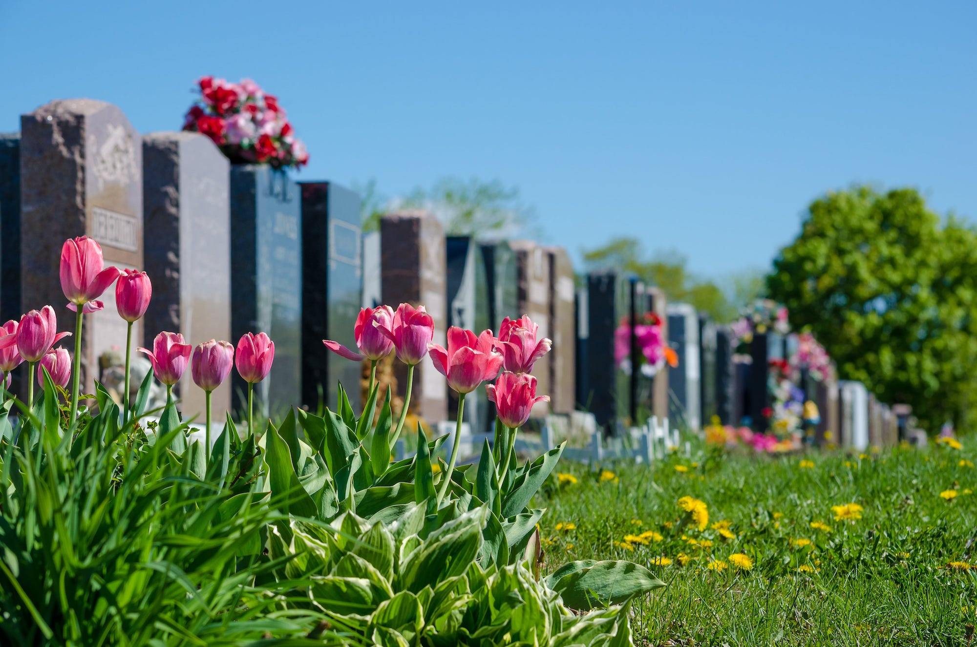 cimetière fleuri